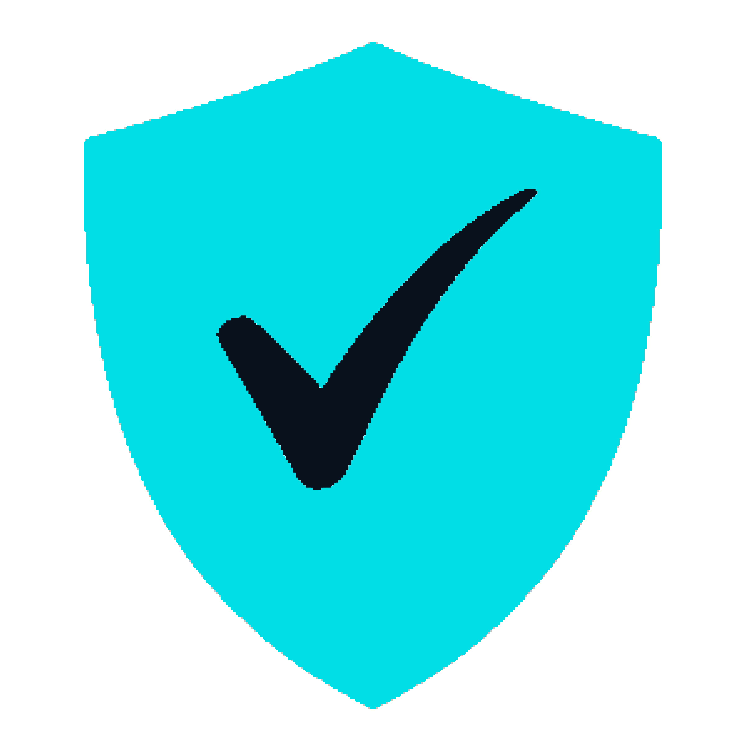 Sicherheitsicon