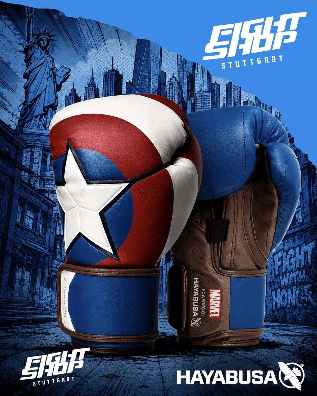 Fight Shop Hayabusa Boxhandschuhe