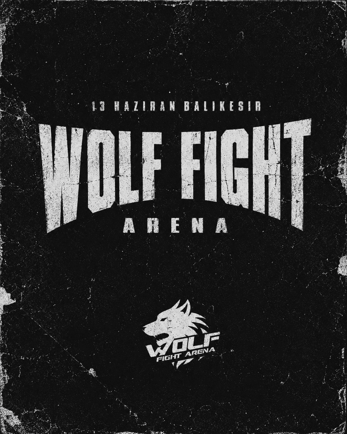 Wolf Fight Cover
