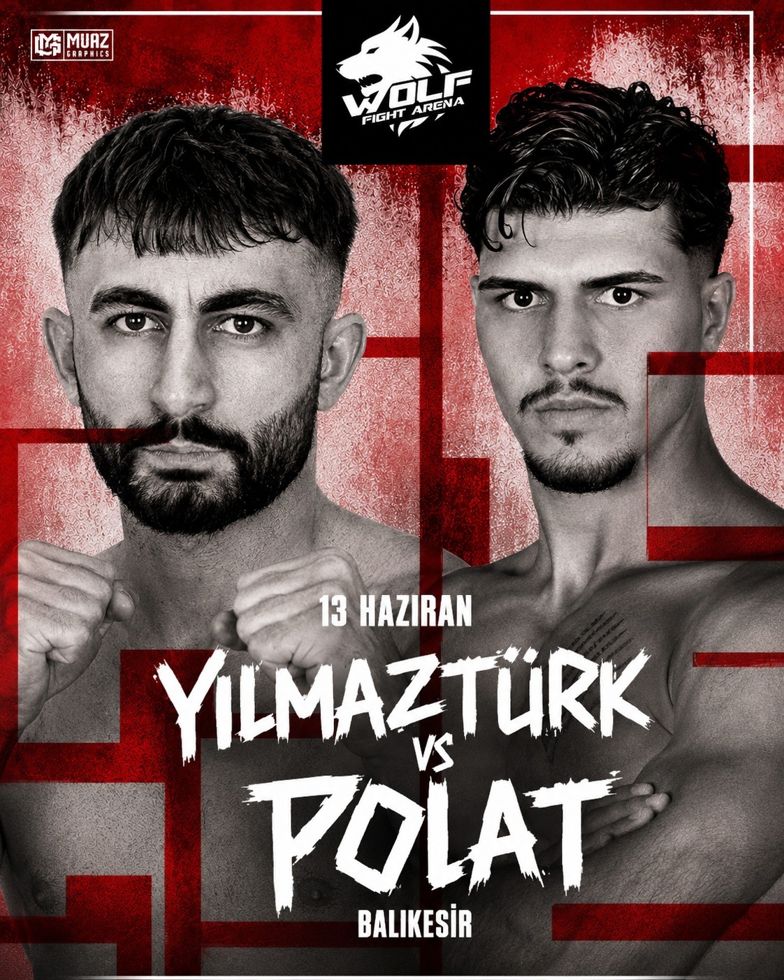 Wolf Fight Yil Pol